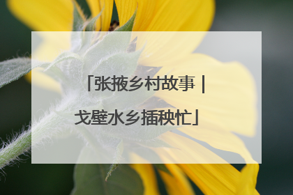 张掖乡村故事｜戈壁水乡插秧忙