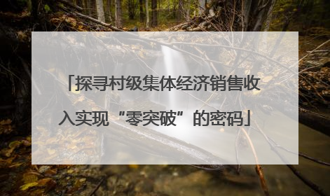 探寻村级集体经济销售收入实现“零突破”的密码