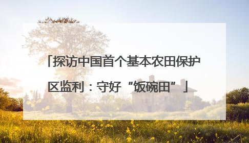 探访中国首个基本农田保护区监利：守好“饭碗田”