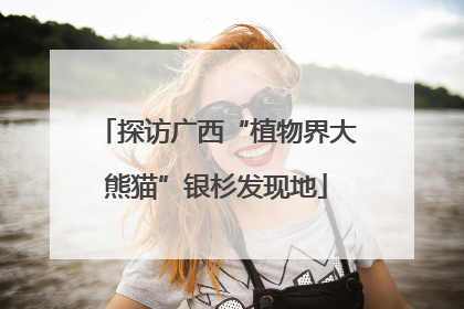 探访广西“植物界大熊猫”银杉发现地