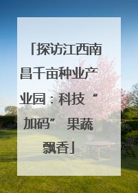 探访江西南昌千亩种业产业园：科技“加码” 果蔬飘香