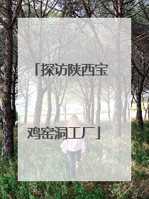 探访陕西宝鸡窑洞工厂