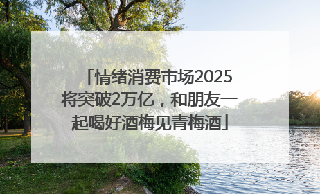 情绪消费市场2025将突破2万亿，和朋友一起喝好酒梅见青梅酒
