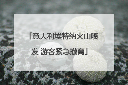 意大利埃特纳火山喷发 游客紧急撤离