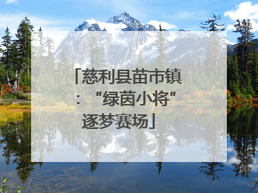 慈利县苗市镇：“绿茵小将”逐梦赛场