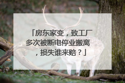 房东家变，致工厂多次被断电停业搬离，损失谁来赔？
