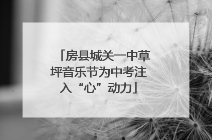 房县城关一中草坪音乐节为中考注入“心”动力