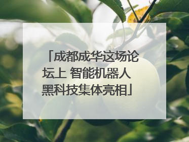 成都成华这场论坛上 智能机器人黑科技集体亮相