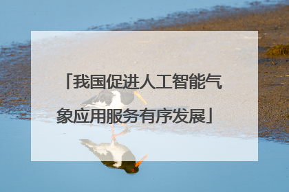 我国促进人工智能气象应用服务有序发展