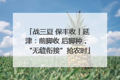 战三夏 保丰收丨延津：前脚收 后脚种，“无缝衔接”抢农时