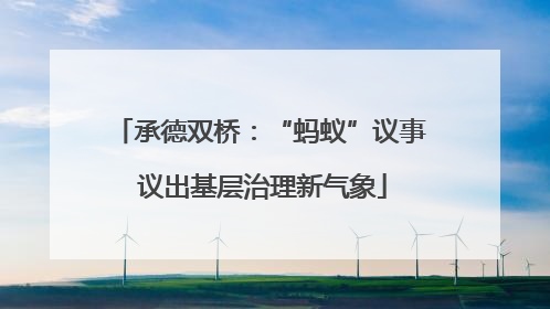 承德双桥：“蚂蚁”议事 议出基层治理新气象