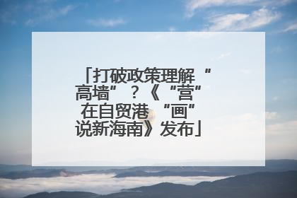打破政策理解“高墙”？《“营”在自贸港 “画”说新海南》发布
