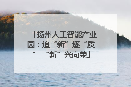 扬州人工智能产业园：追“新”逐“质” “新”兴向荣