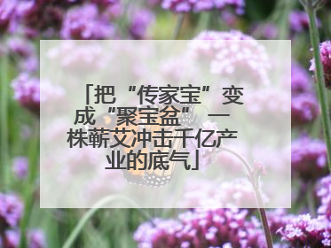 把“传家宝”变成“聚宝盆” 一株蕲艾冲击千亿产业的底气