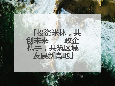投资米林，共创未来——政企携手，共筑区域发展新高地