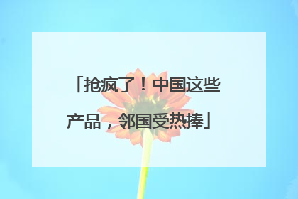 抢疯了！中国这些产品，邻国受热捧