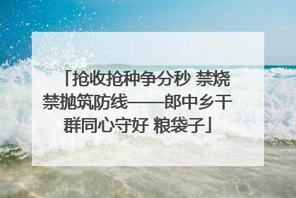 抢收抢种争分秒 禁烧禁抛筑防线——郎中乡干群同心守好 粮袋子