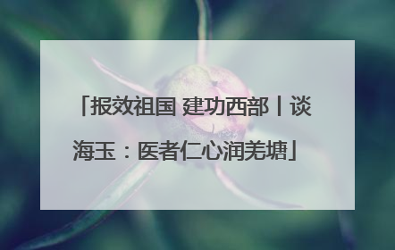 报效祖国 建功西部丨谈海玉：医者仁心润羌塘
