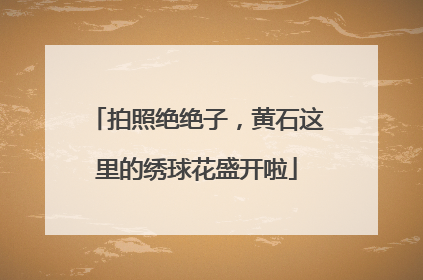 拍照绝绝子，黄石这里的绣球花盛开啦