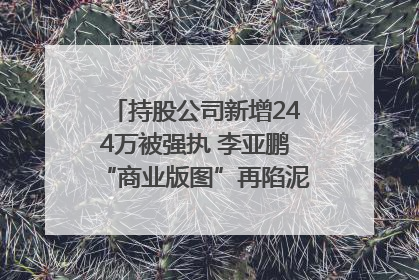 持股公司新增244万被强执 李亚鹏“商业版图”再陷泥潭？｜科技观察