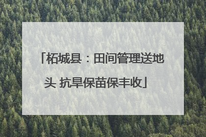 柘城县：田间管理送地头 抗旱保苗保丰收