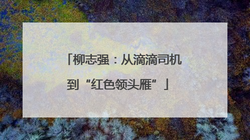 柳志强：从滴滴司机到“红色领头雁”