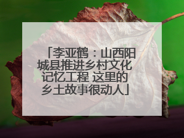 李亚鹤：山西阳城县推进乡村文化记忆工程 这里的乡土故事很动人