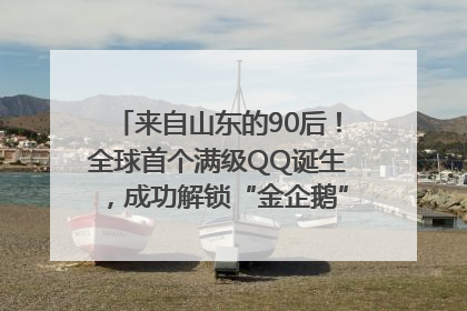 来自山东的90后！全球首个满级QQ诞生，成功解锁“金企鹅”，是继承父亲账号