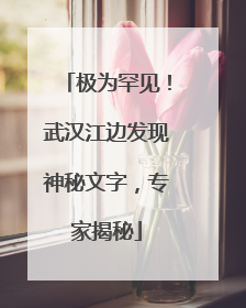 极为罕见！武汉江边发现神秘文字，专家揭秘