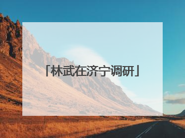 林武在济宁调研