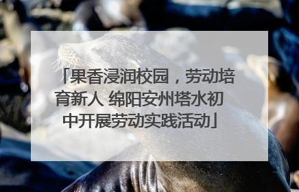 果香浸润校园，劳动培育新人 绵阳安州塔水初中开展劳动实践活动