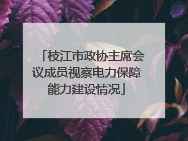 枝江市政协主席会议成员视察电力保障能力建设情况