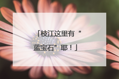 枝江这里有“蓝宝石”耶！