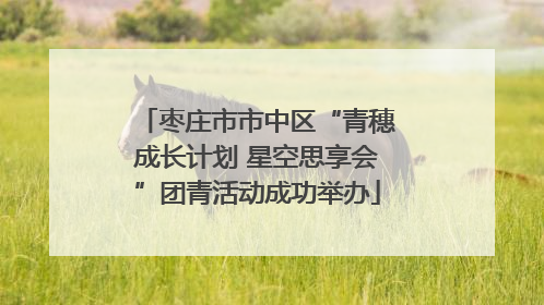 枣庄市市中区“青穗成长计划 星空思享会”团青活动成功举办