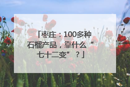 枣庄：100多种石榴产品，靠什么“七十二变”？