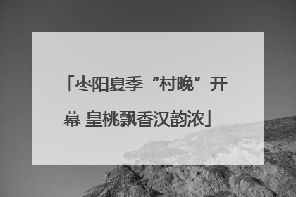 枣阳夏季“村晚”开幕 皇桃飘香汉韵浓