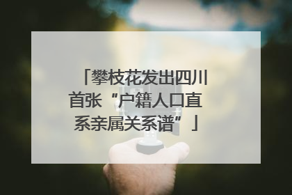 攀枝花发出四川首张“户籍人口直系亲属关系谱”