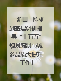 新田：陈雄到基层调研指导“十五五”规划编制与城乡品质大提升工作