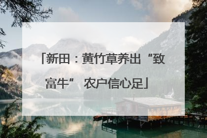 新田：黄竹草养出“致富牛” 农户信心足