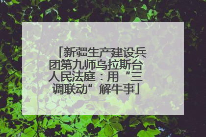 新疆生产建设兵团第九师乌拉斯台人民法庭：用“三调联动”解牛事
