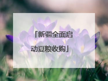 新疆全面启动夏粮收购