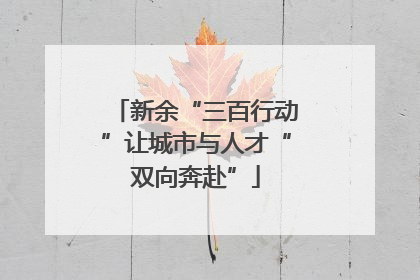 新余“三百行动”让城市与人才“双向奔赴”