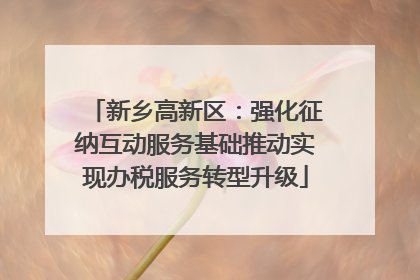 新乡高新区：强化征纳互动服务基础推动实现办税服务转型升级