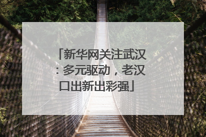 新华网关注武汉：多元驱动，老汉口出新出彩强