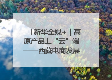 新华全媒+｜高原产品上“云”端——西藏电商发展一线观察