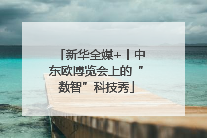 新华全媒+丨中东欧博览会上的“数智”科技秀