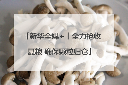 新华全媒+丨全力抢收夏粮 确保颗粒归仓