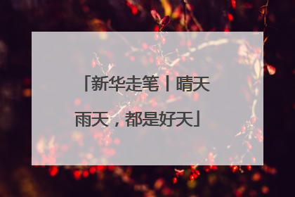 新华走笔丨晴天雨天，都是好天