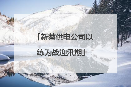 新蔡供电公司以练为战迎汛期