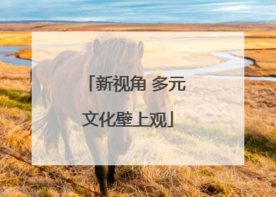 新视角 多元文化壁上观
